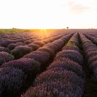 webforexperts - Dr. Tolvay Katalin 2025