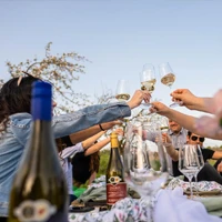 webforexperts - Füred Piknik 2025