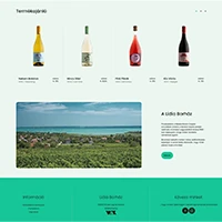 webforexperts - Lídia Borház 2025