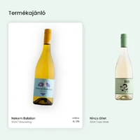 webforexperts - Lídia Borház 2025