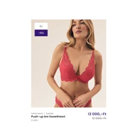 webforexperts - Moda Novator 2025