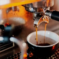 webforexperts - Bazilika Cafe 2026