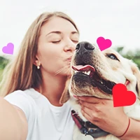 webforexperts - Varhur Állatorvosi Rendelő 2026