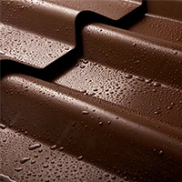 webforexperts - Vano 2026